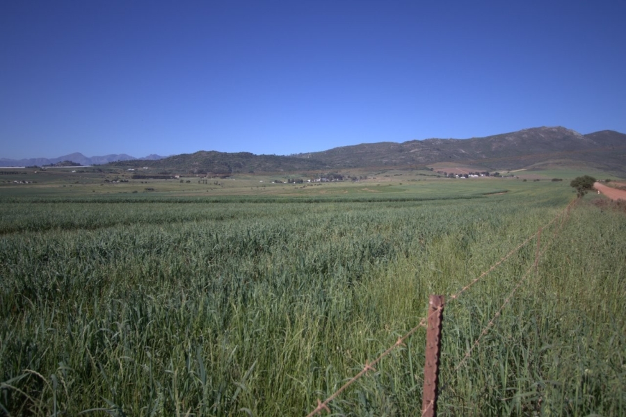 0 Bedroom Property for Sale in Paarl Rural Western Cape